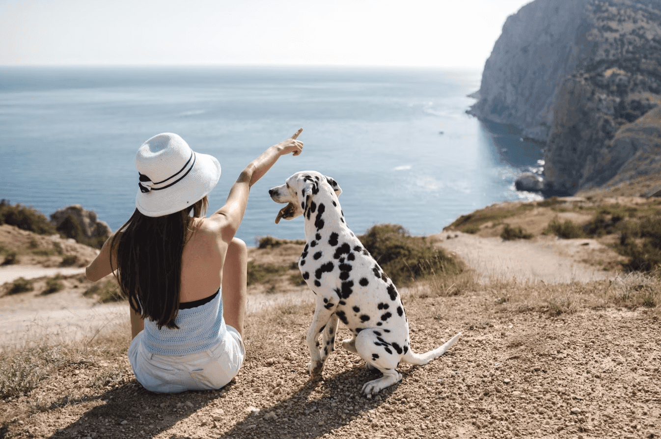 Los 5 mejores destinos para viajar con tu perro